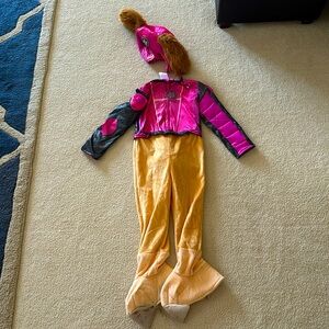 Paw patrol mighty skye 3/4T costume- okay condition